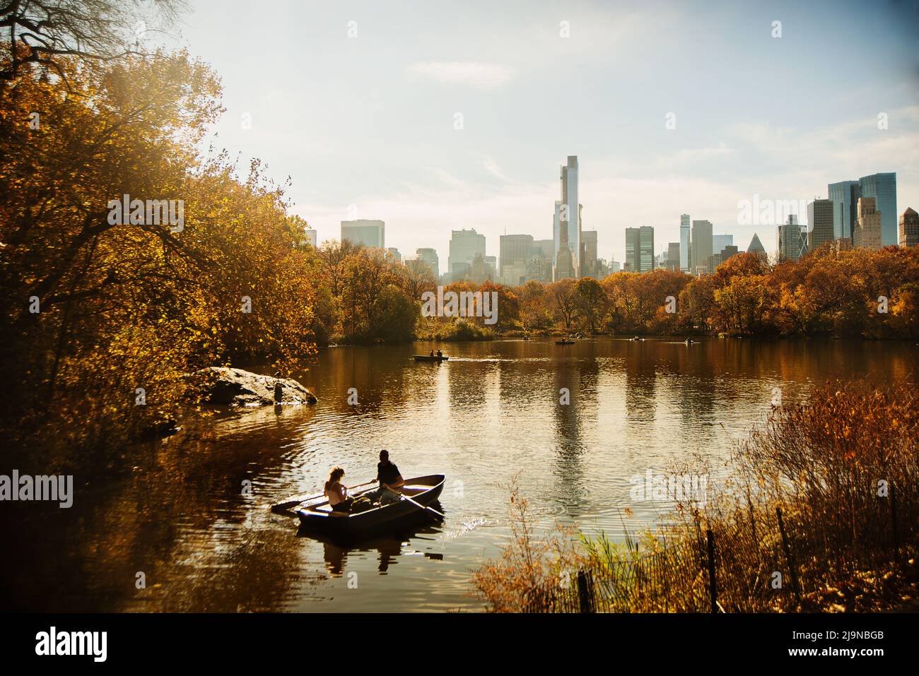 People rowing a boat in central park in Autumn Stock Photo Alamy