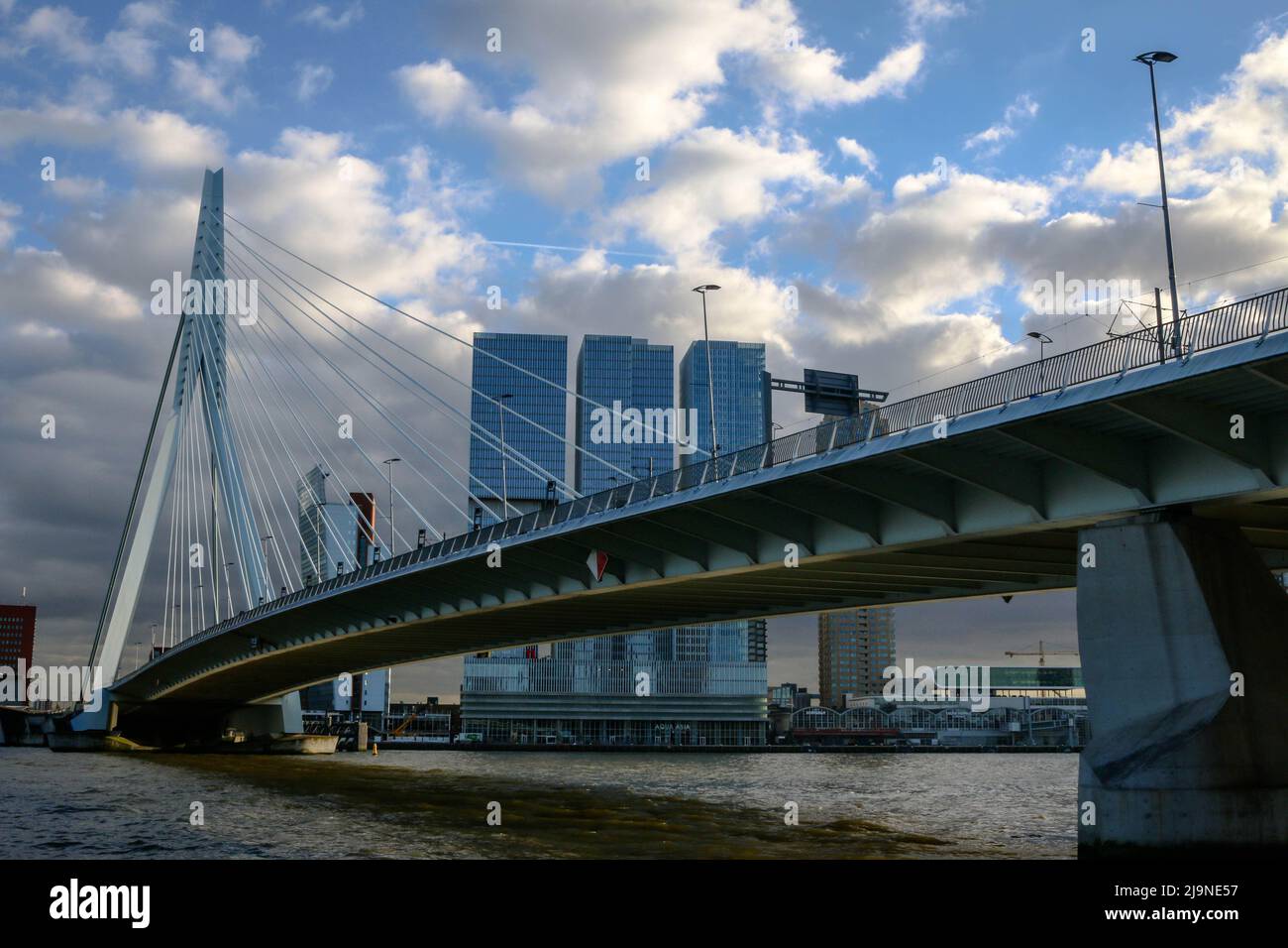 The Erasmus Bridge in the city of Rotterdam, the Netherlands Stock ...