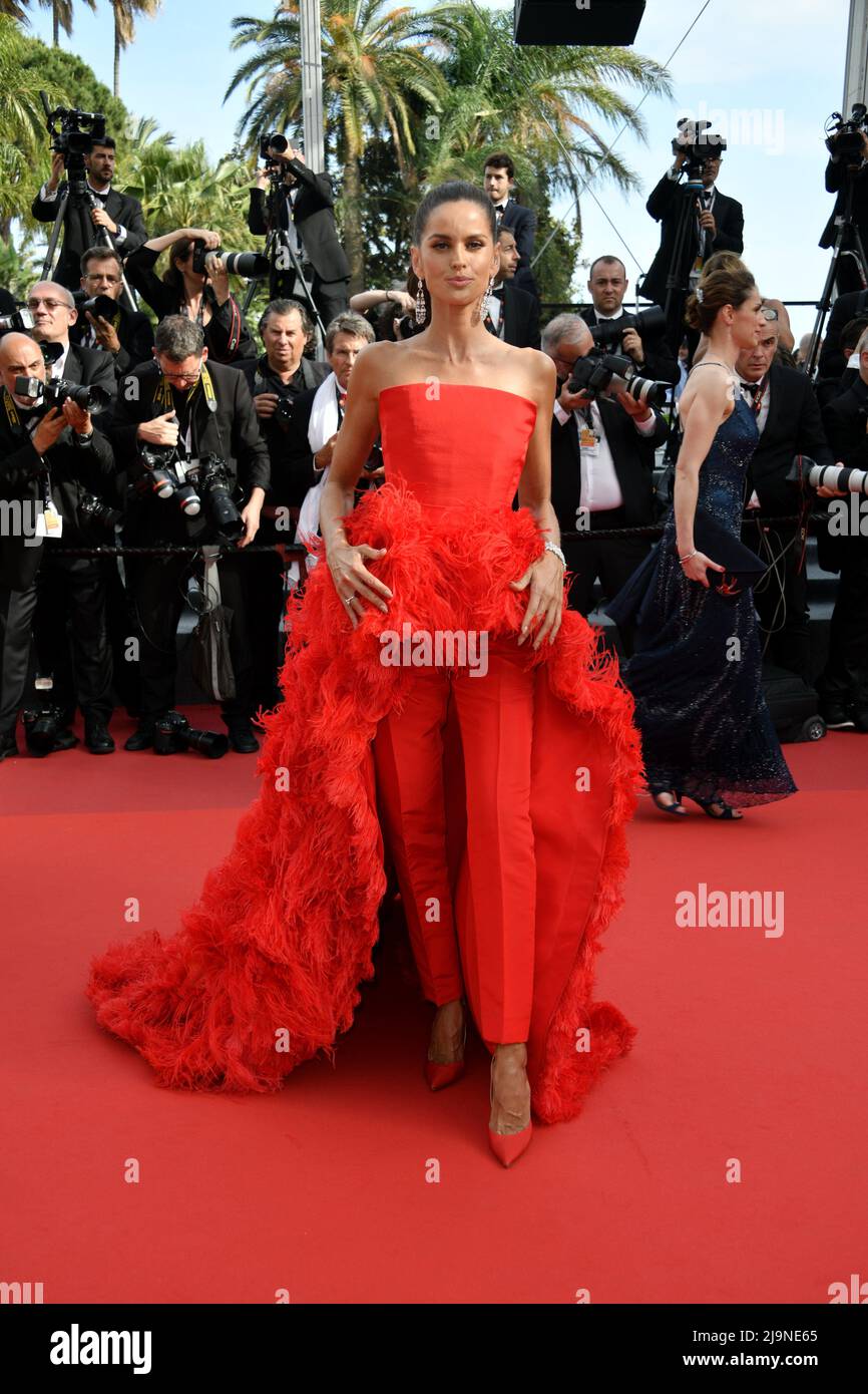 Cannes, France. 24th May, 2022. May 24th, 2022. Cannes, France. Lea Seydoux  attending The Innocent Premiere, part of the 75th Cannes Film Festival,  Palais de Festival, Cannes. Credit: Doug Peters/Alamy Live News