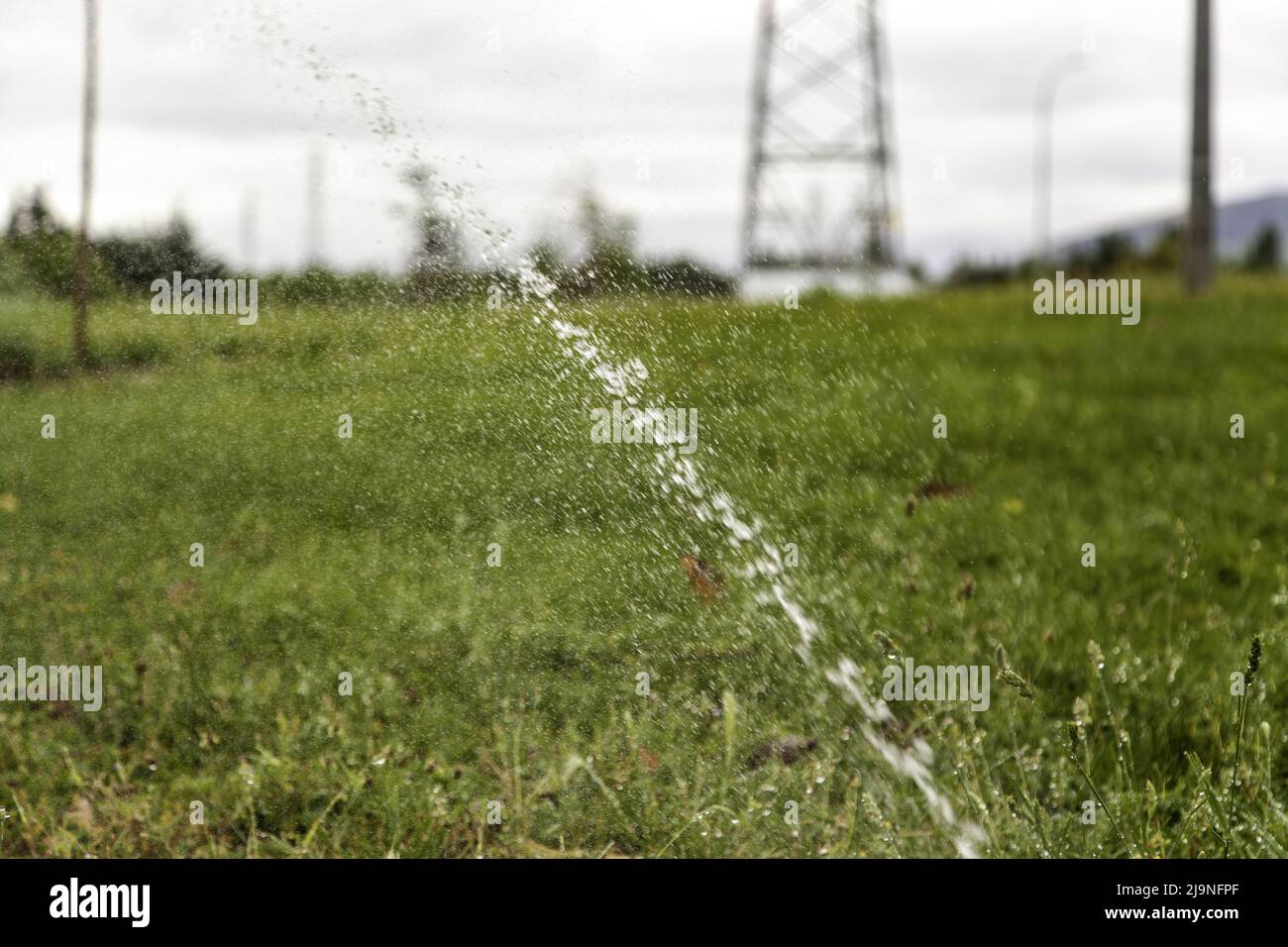 Detail of irrigation and care of the grass, sprinkler irrigation Stock