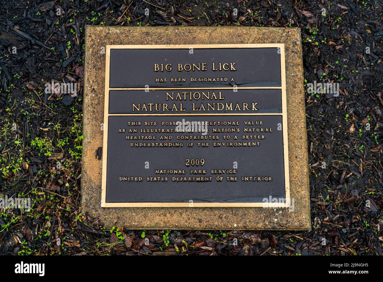 Big Bone Lick in Kentucky Stock Photo Alamy