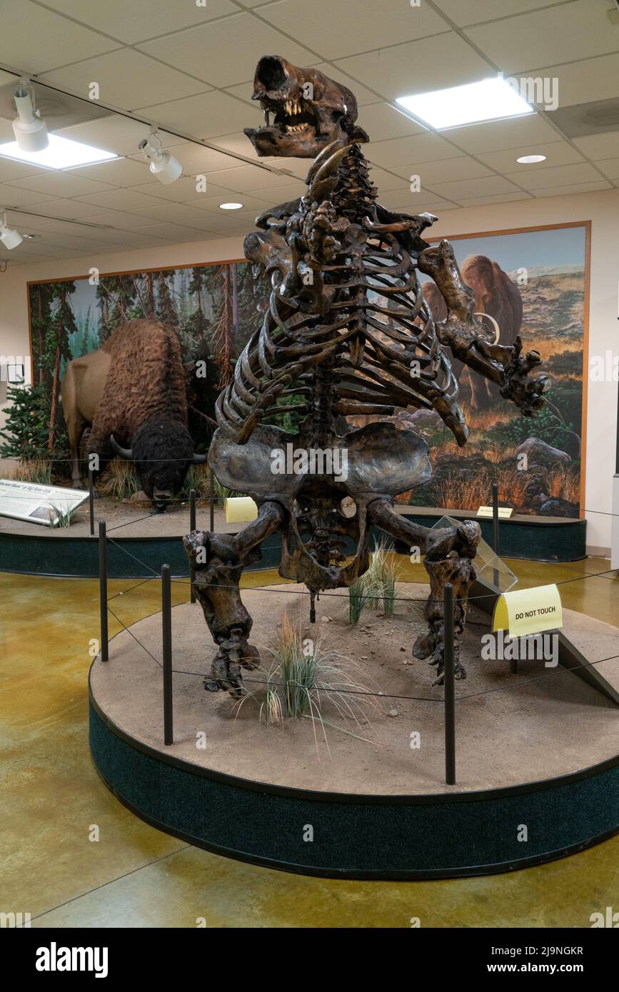 Big Bone Lick in Kentucky Stock Photo Alamy