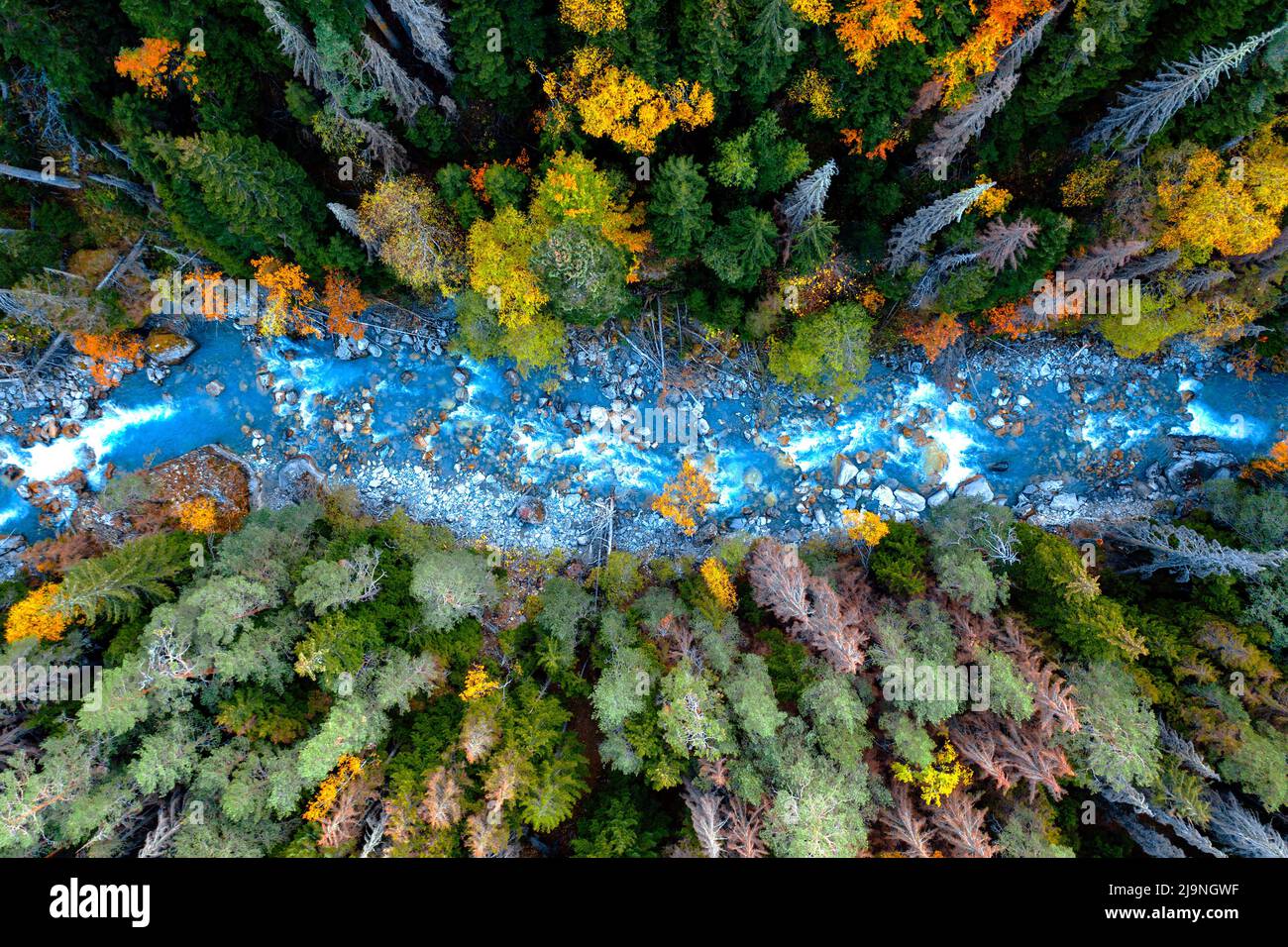 Drone aerial top view of mountain river and forest Stock Photo - Alamy