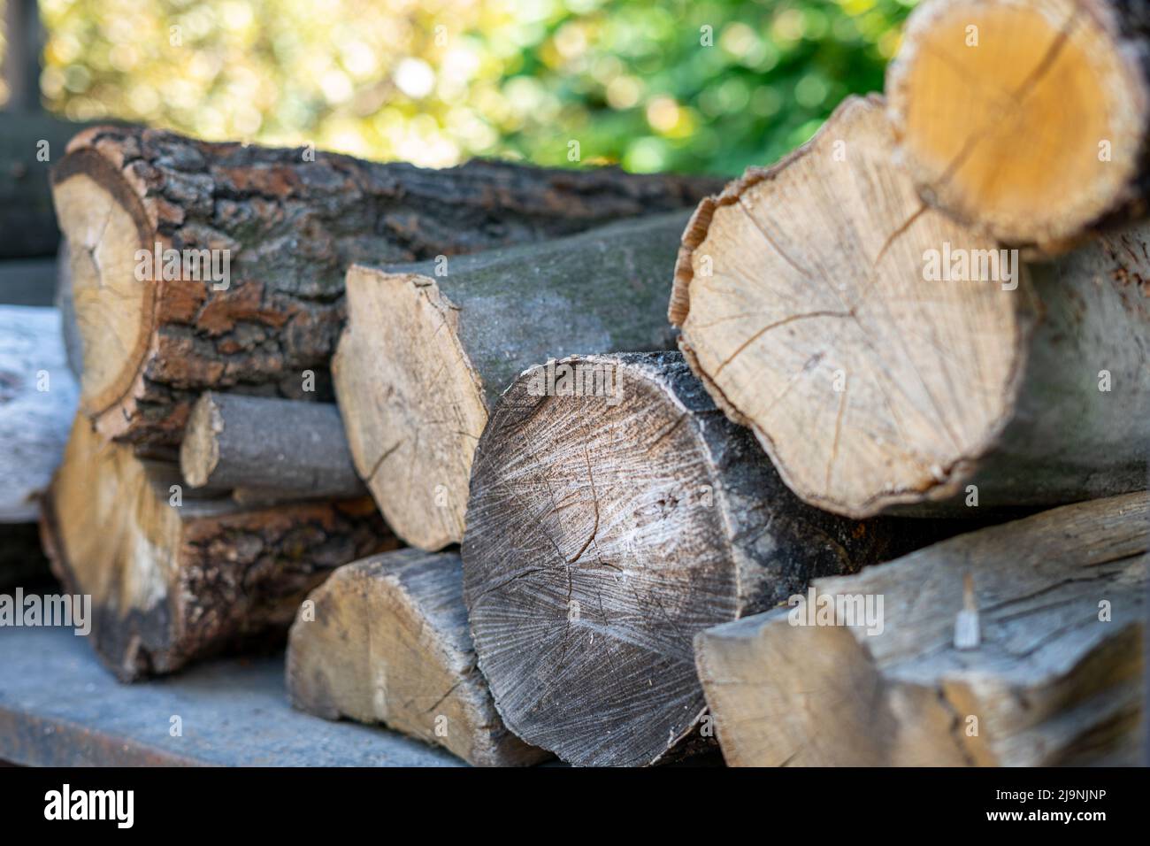 Cut tree for firewood. Background from cut firewood Stock Photo