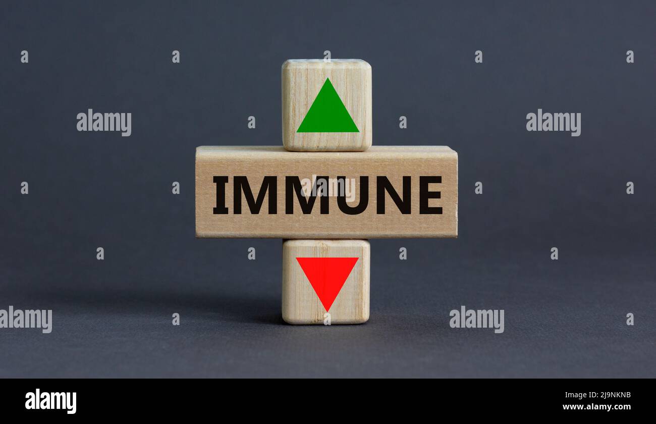 Growth of immune symbol. A wooden cube with up icon. Wooden block with yhe concept wordIimmune. Beautiful grey table grey background. Medical and grow Stock Photo
