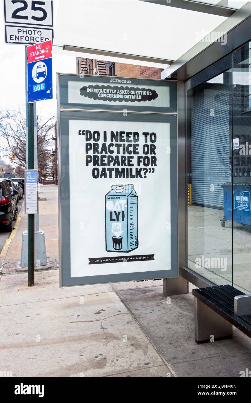 A quirky funny irreverent whimsical Oatly oat milk ad in a bus shelter in Astoria, Queens, New York Stock Photo