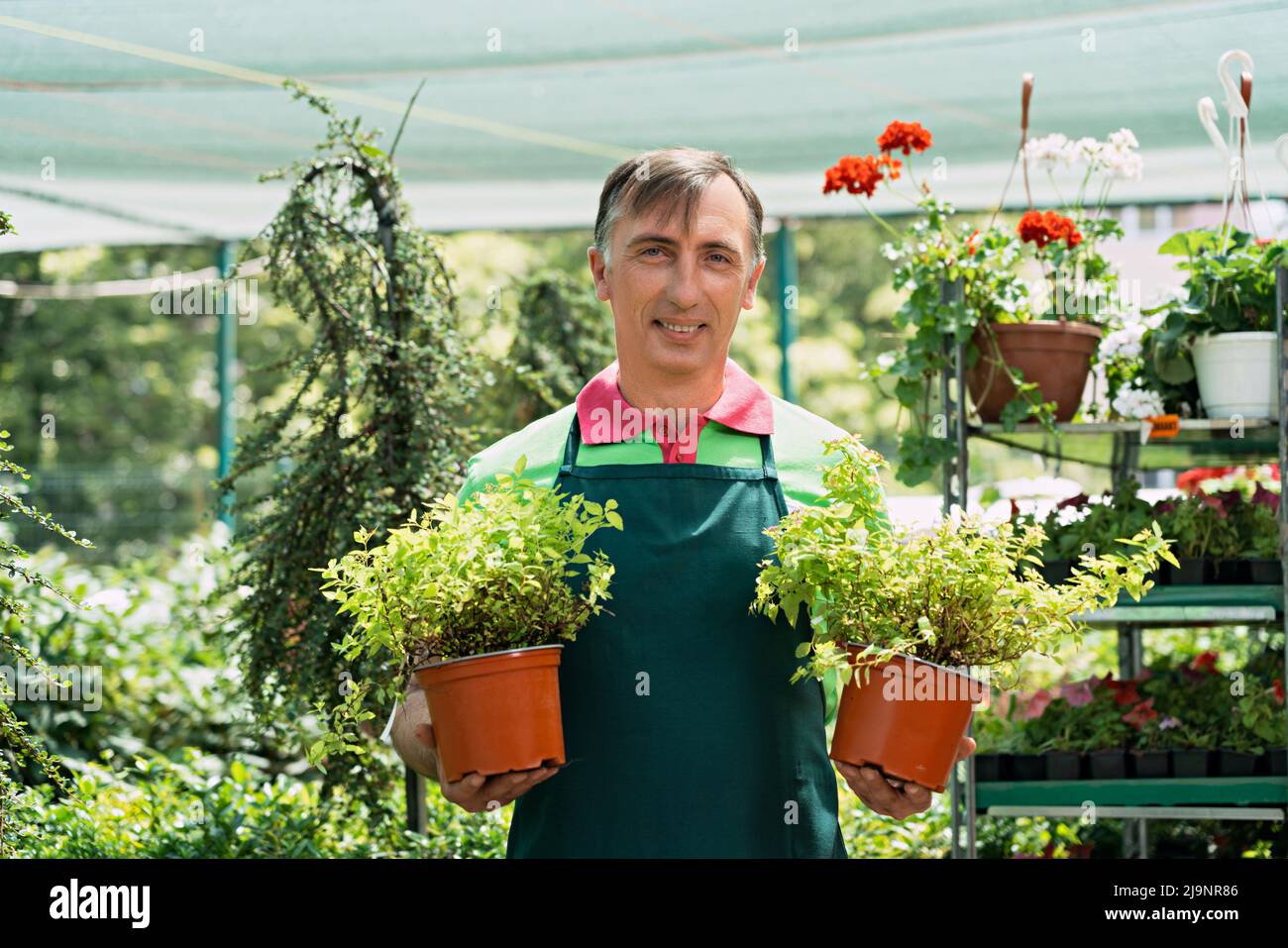Man working in a garden center standing and holding plants Stock Photo ...