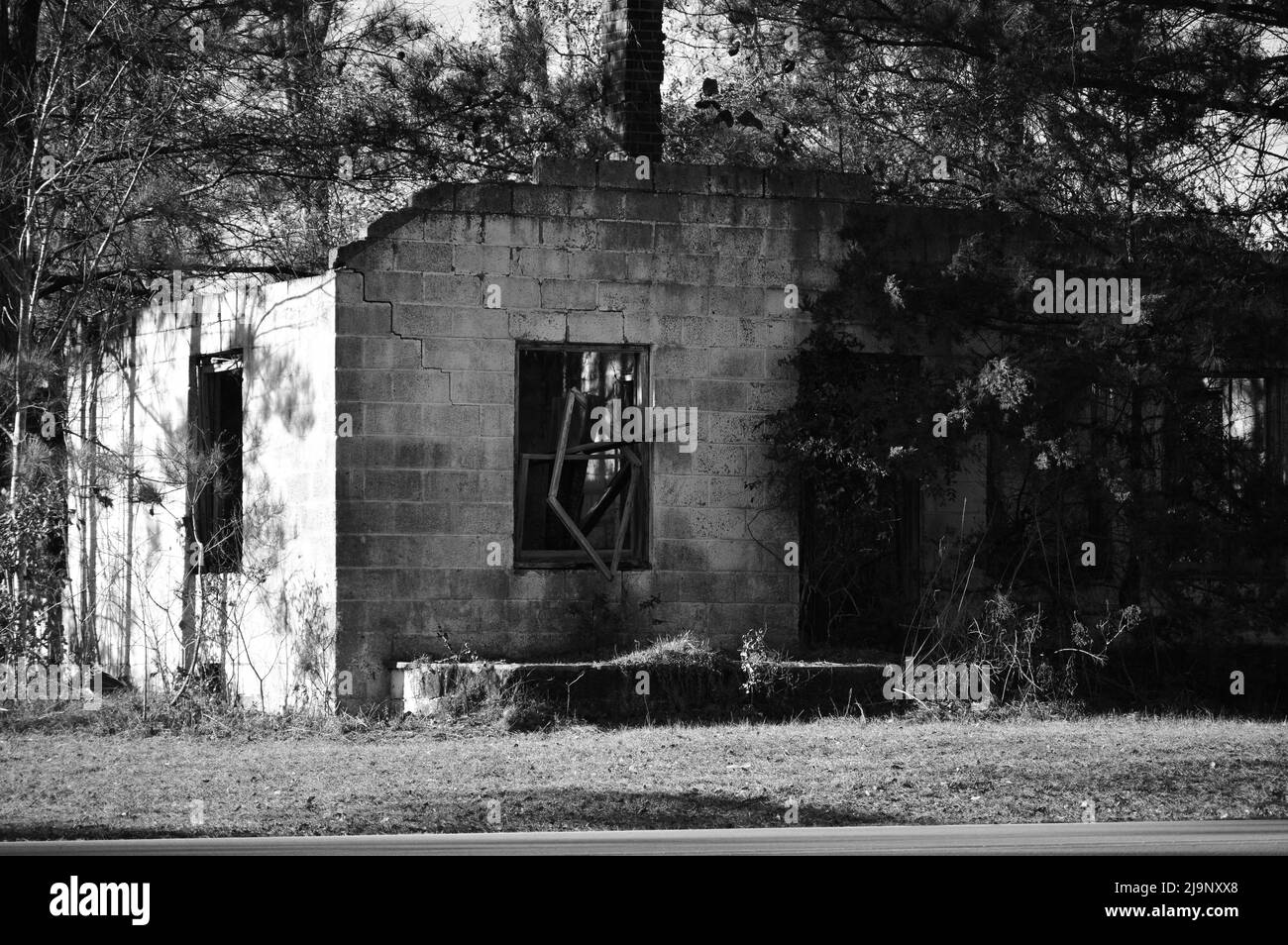 Old rustic abandoned house in the country of NC Stock Photo