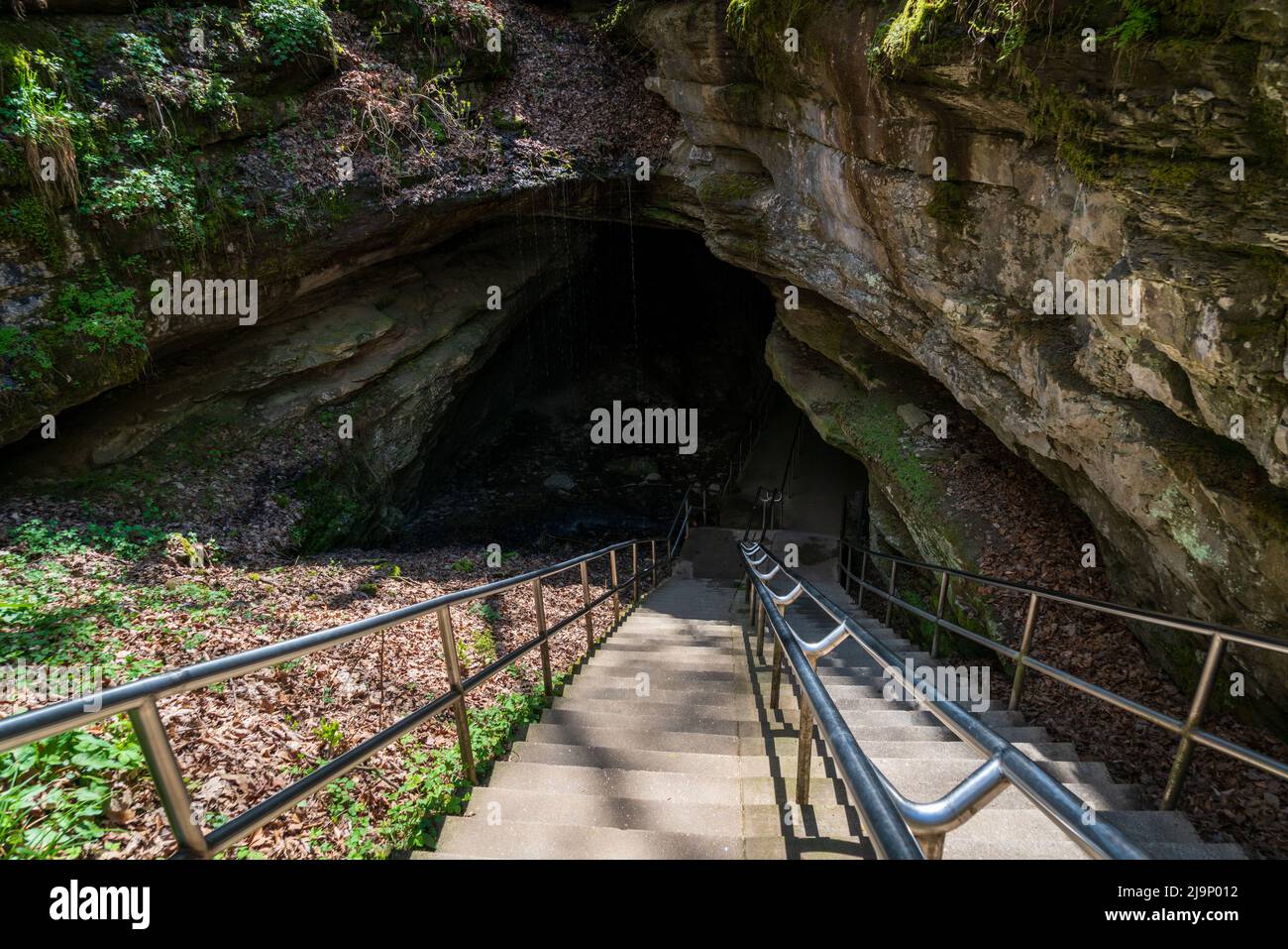 The stairs into the entrance at Mammoth Caves Stock Photo