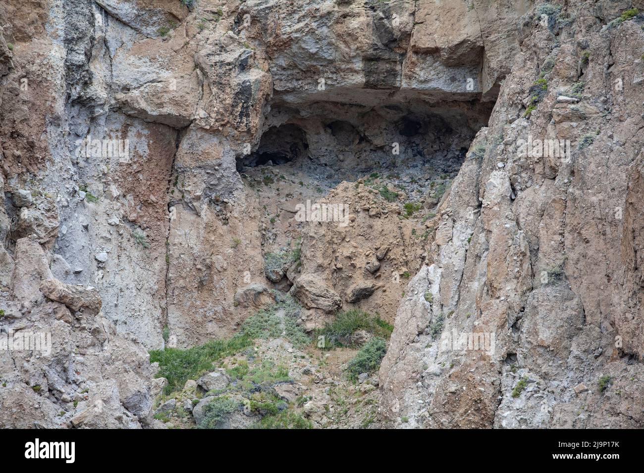 The Los Tachos Trail on the western slopes of the Domuyo volcanic complex in Argentina Stock Photo