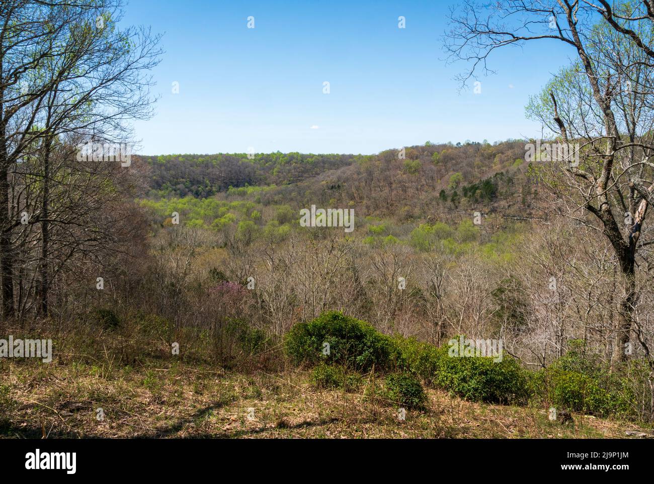 An Overlook at Mammoth Cave National Park Stock Photo