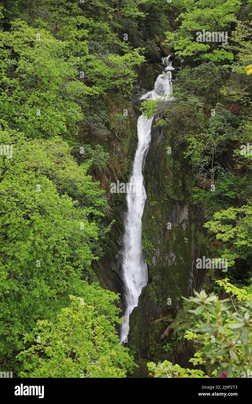 Devils bridge falls hi-res stock photography and images - Alamy