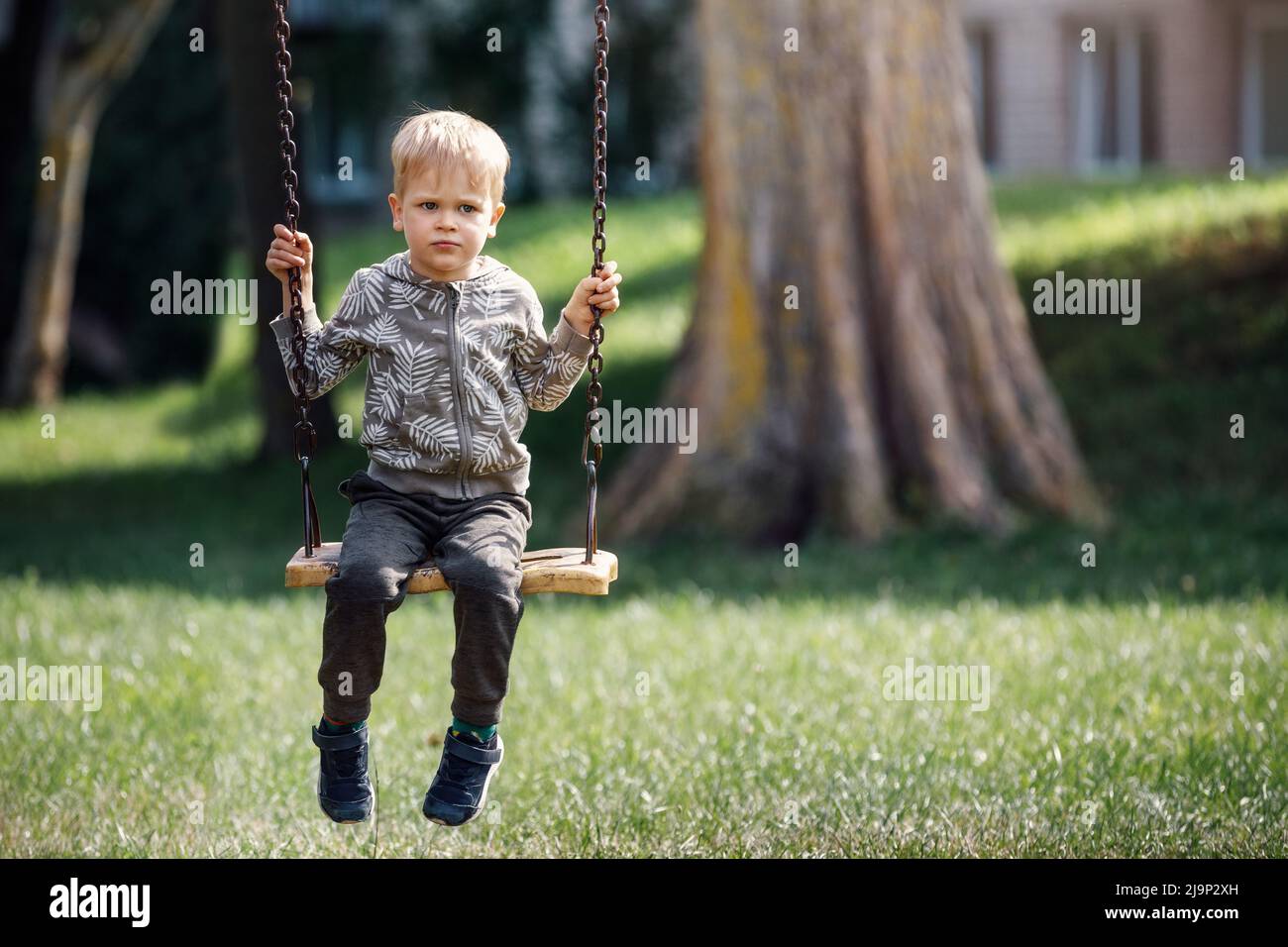 A sad, dreaming little boy swings in a city park under a big tree. Horizontal photo. Stock Photo