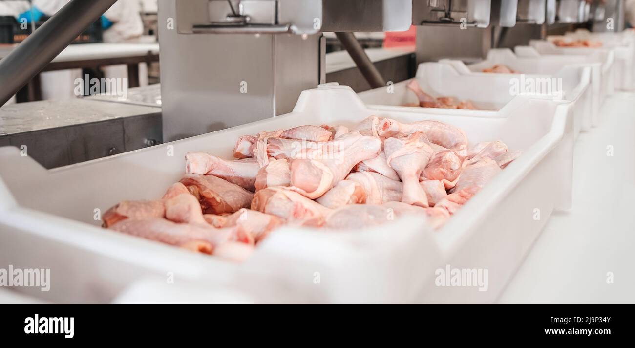 Conveyor Belt Food.The meat factory.Automated production line in modern ...