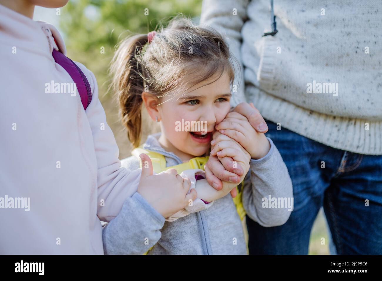 Father and little daughters hold hands on walk in nature Stock Photo ...