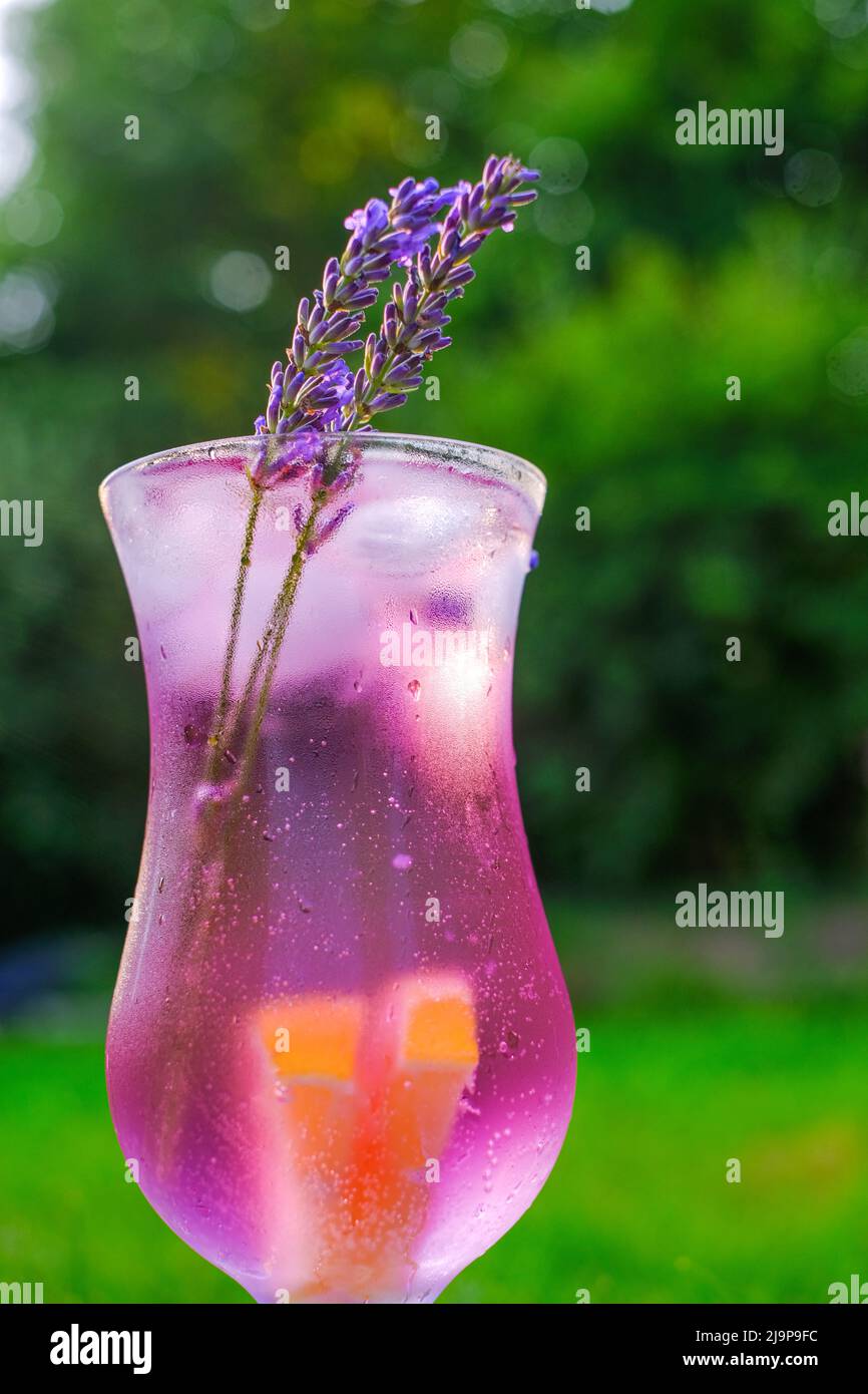 Lavender Cocktail.Lavender summer drink.misted glass and lavender