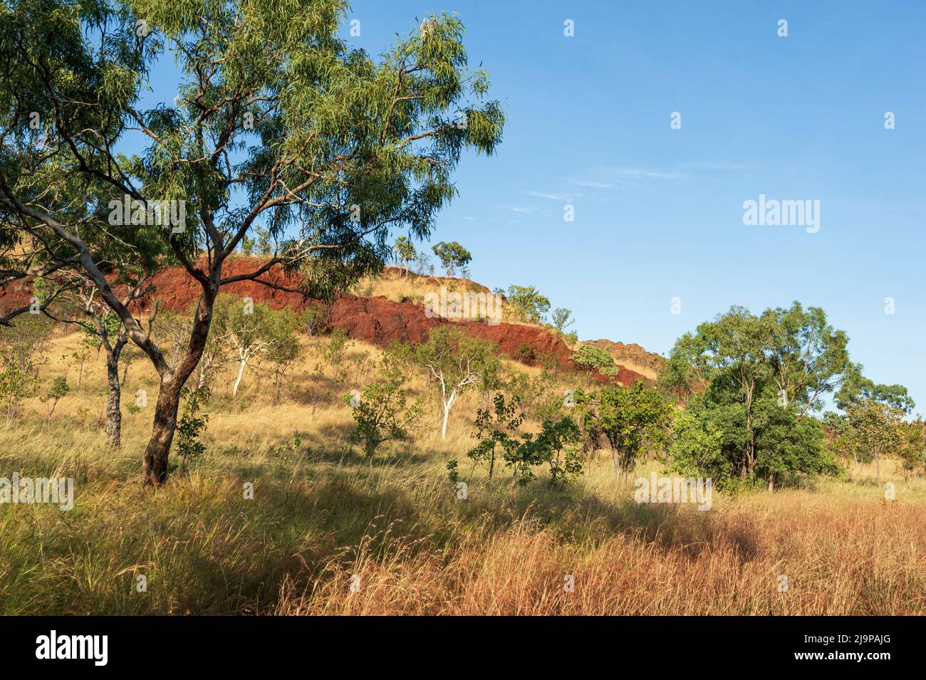 Scenic view of the savannah and rock formations in Keep River National Park, a popular tourist destination, Northern Territory, NT, Australia Stock Photo