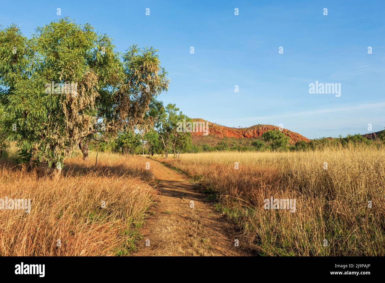 Scenic view of the savannah in Keep River National Park, a popular tourist destination, Northern Territory, NT, Australia Stock Photo