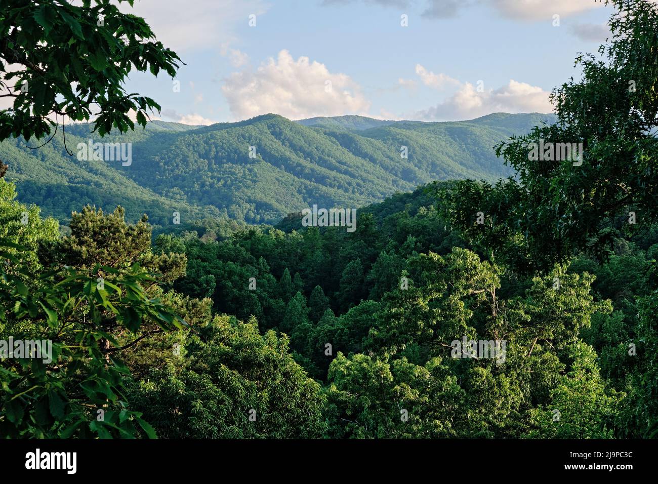 Great Smokey Mountains National Park near Pigeon Forge and Gatlinburg Tennessee, USA. Stock Photo