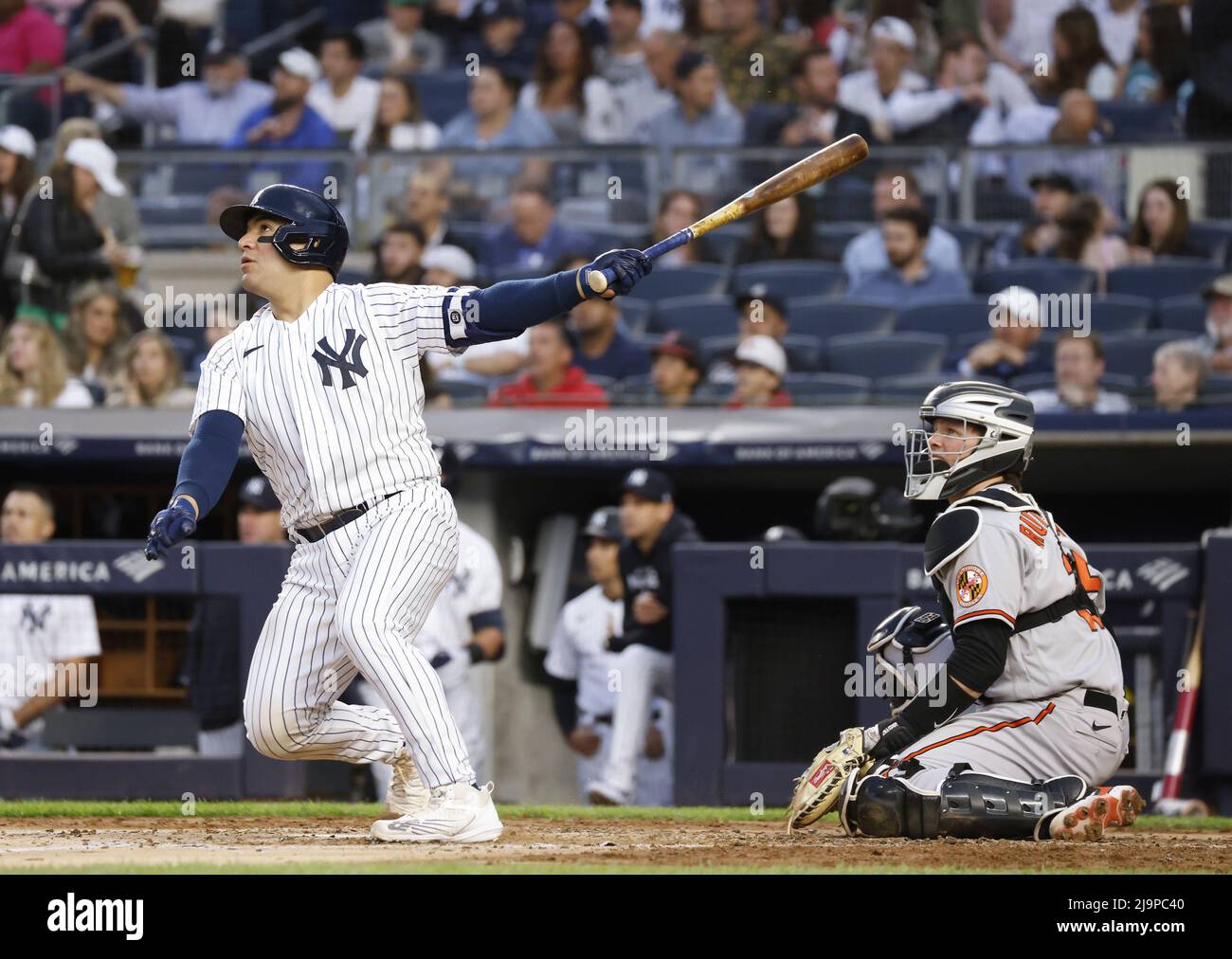 Bronx, United States. 24th May, 2022. New York Yankees Jose Trevino hits a  solo home run in the 3rd inning against Baltimore Orioles at Yankee Stadium  in New York City on Tuesday