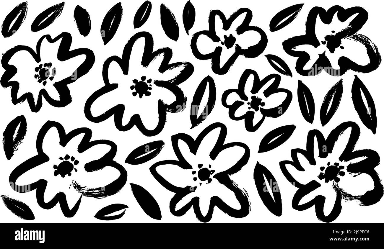 Black chamomile hand drawn painted vector set. Stock Vector