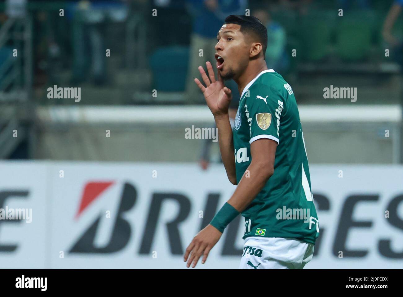 PALMEIRAS X DEPORTIVO TACHIRA AO VIVO COM IMAGENS - JOGO DE HOJE - ASSISTA  AGORA 