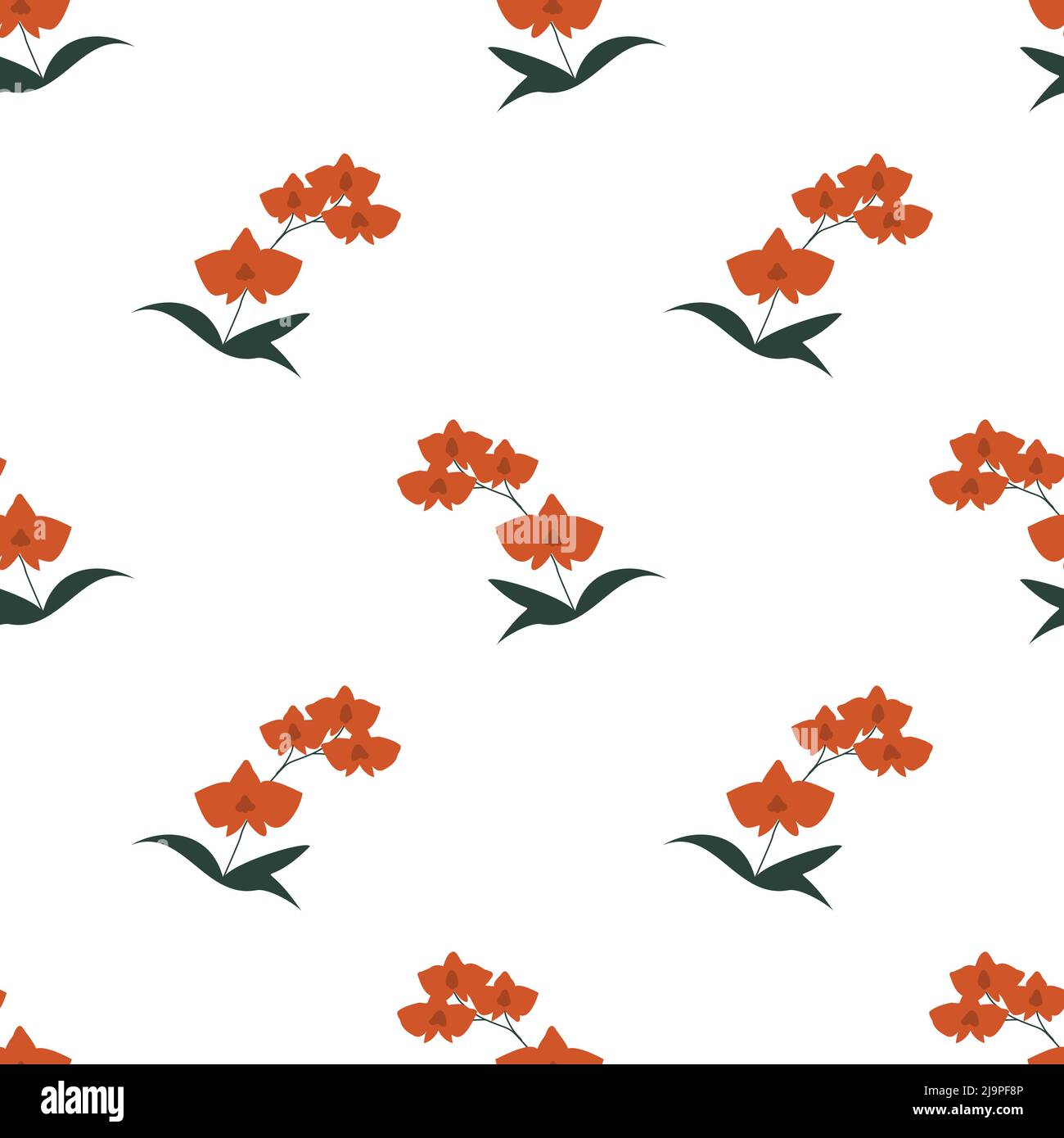 Seamless decorative vector orchid pattern Stock Vector Image & Art - Alamy