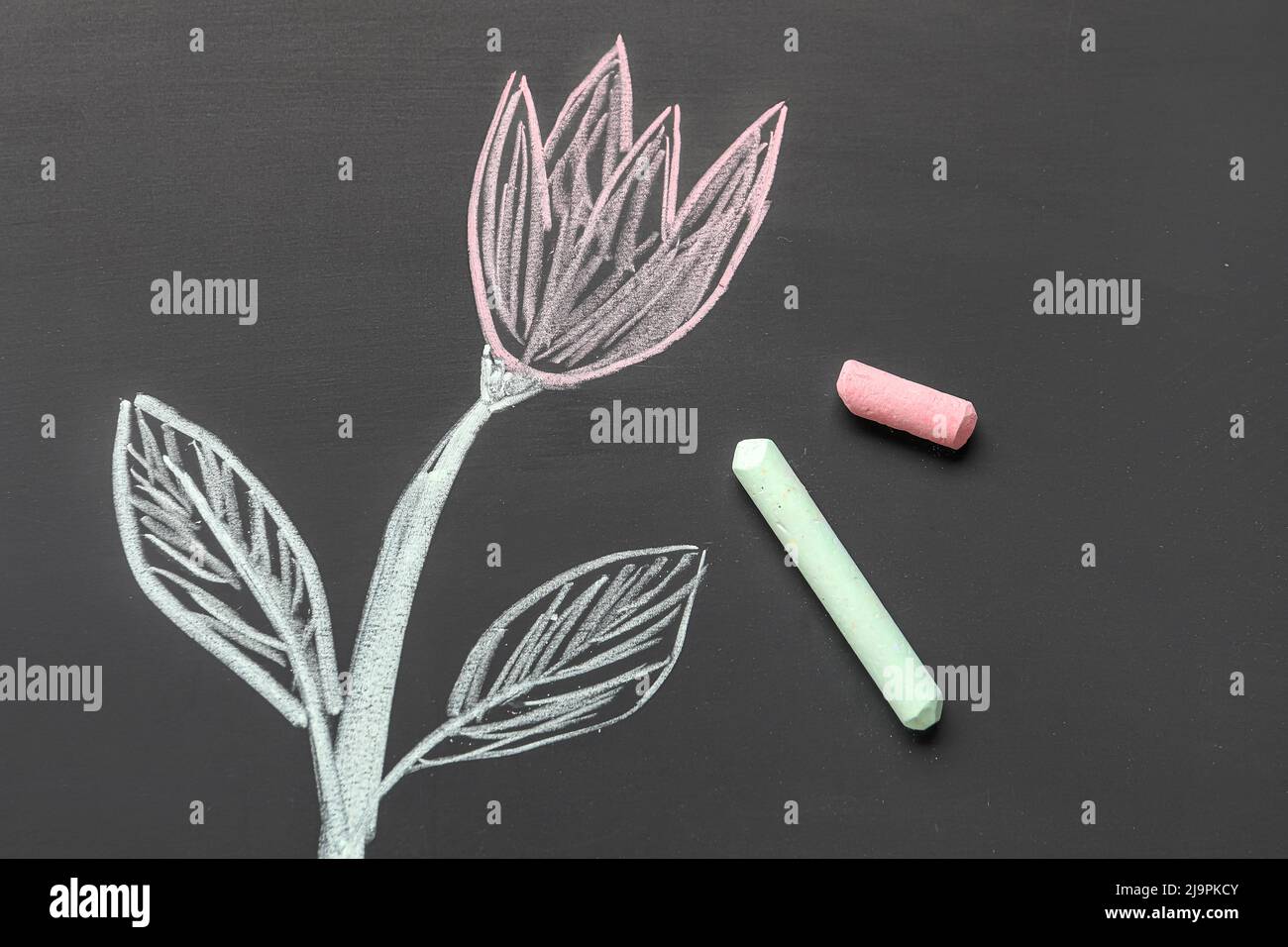 Drawn flower with chalks on school blackboard Stock Photo Alamy