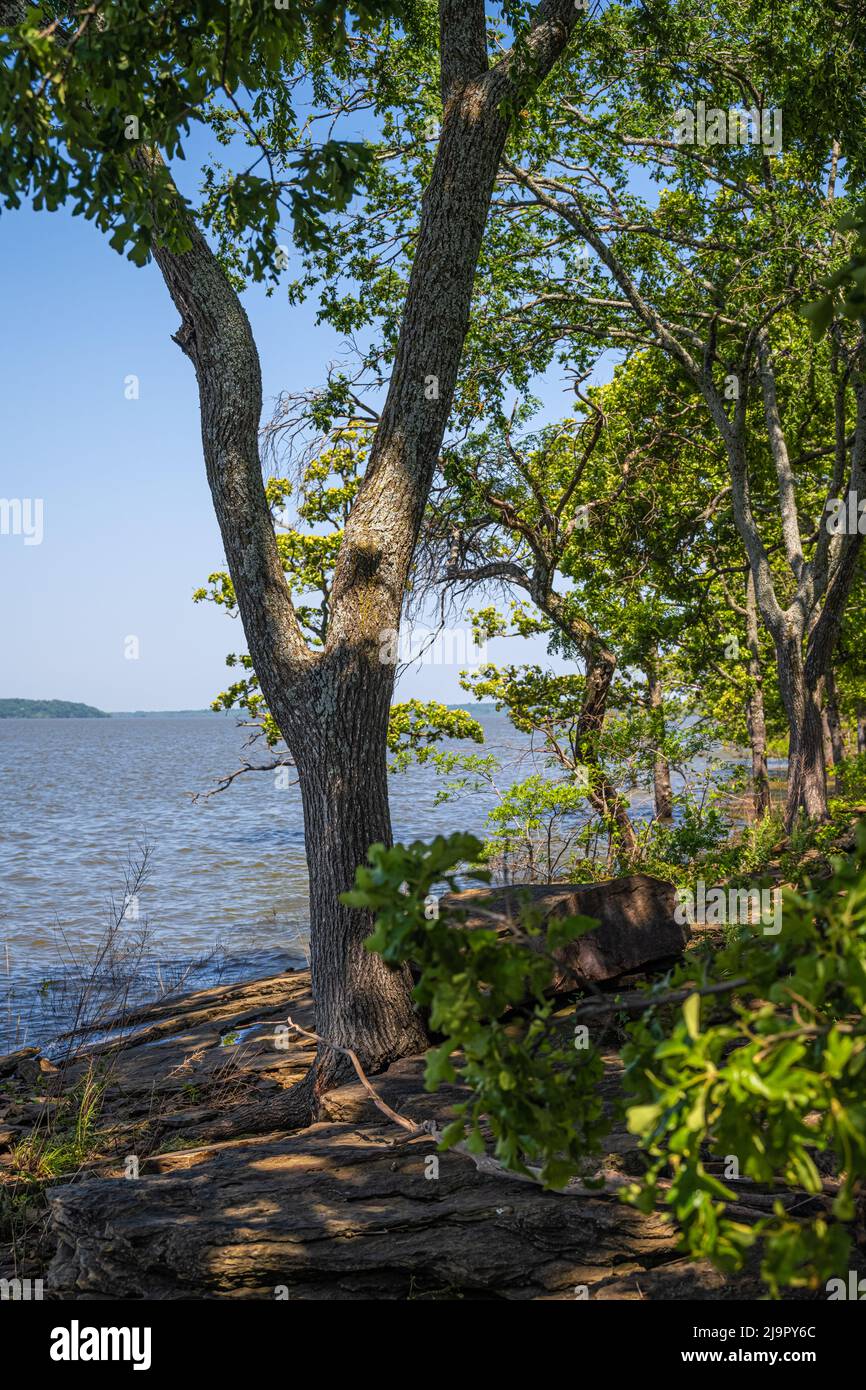 Shoreline along Fort Gibson Lake near the Sequoyah Lodge in Sequoyah State Park in Cherokee County, Oklahoma. (USA) Stock Photo