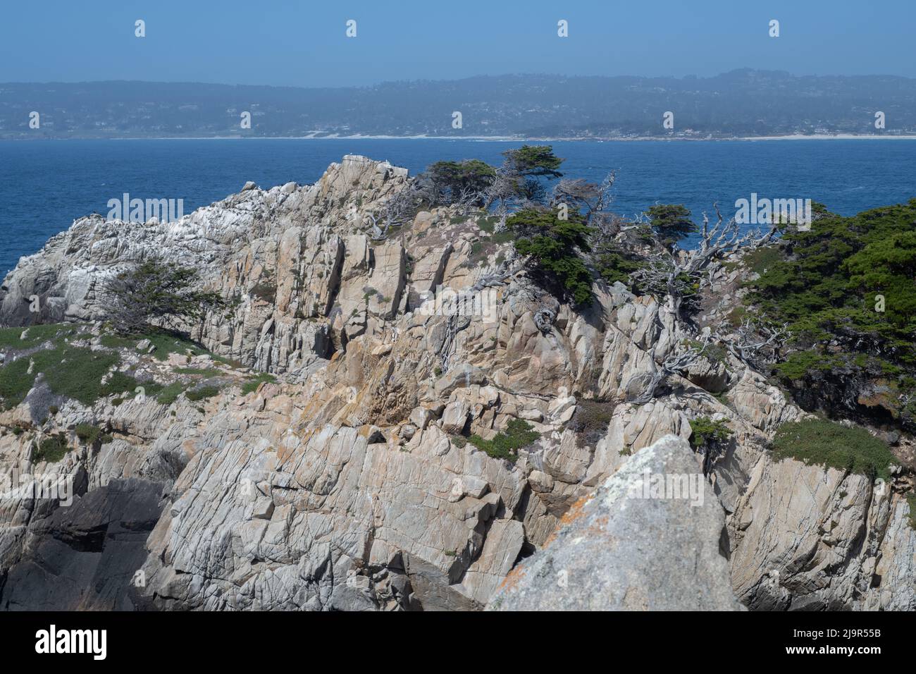A rocky cliff covered with sparse vegetation and monterey cypress tree in Point Lobos state reserve overlooking monterey bay in California. Stock Photo
