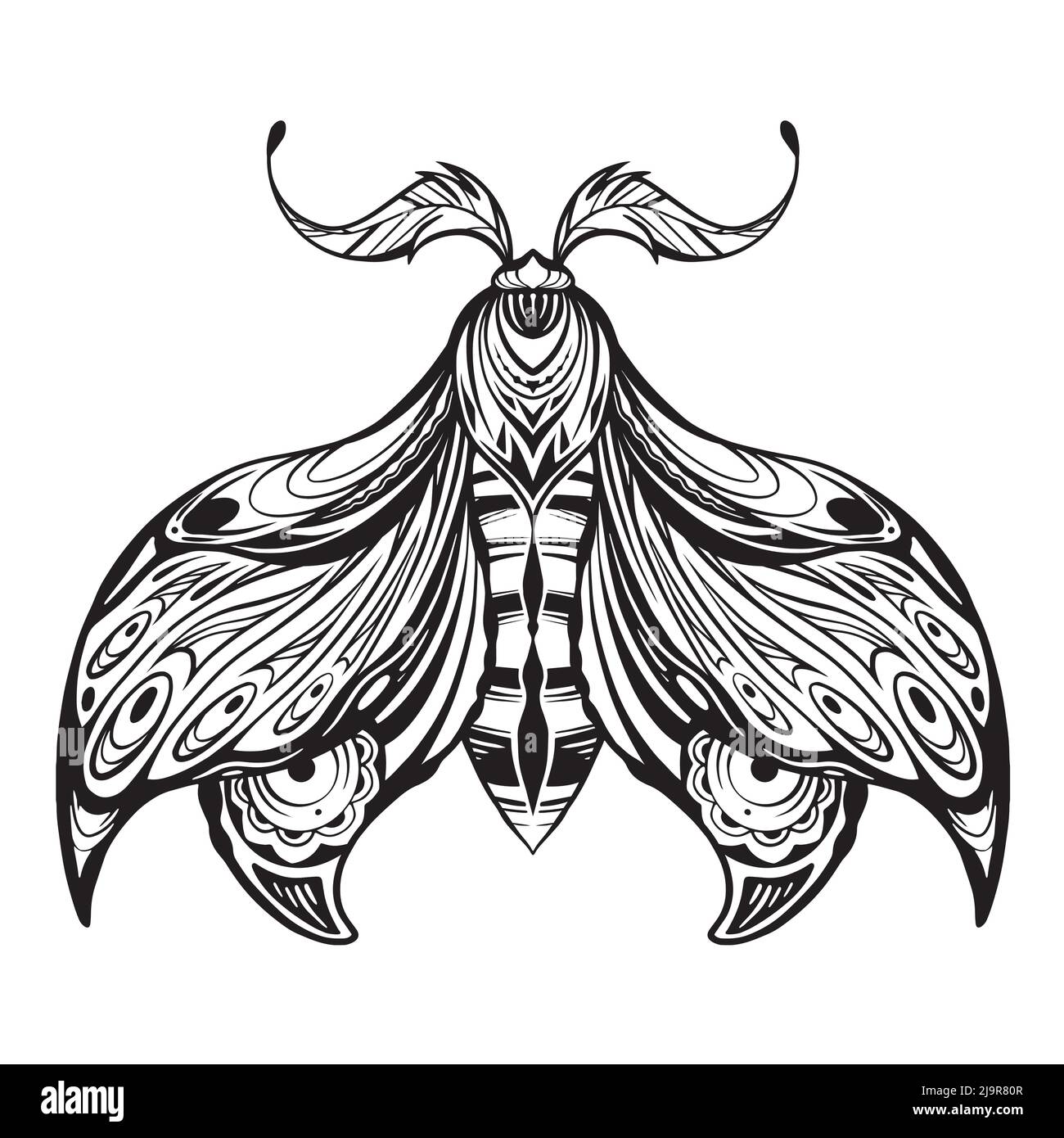 Vector drawing of a moth tattoo. Monochrome drawing of a moth with tracery ornament. Insect with wings isolated from background. Stock Vector