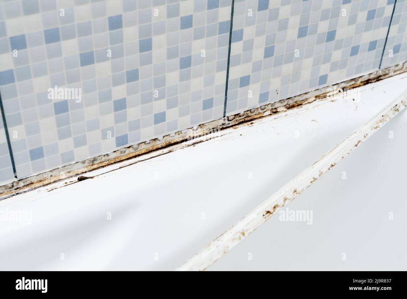 Mould on tiles in a bathroom Stock Photo Alamy