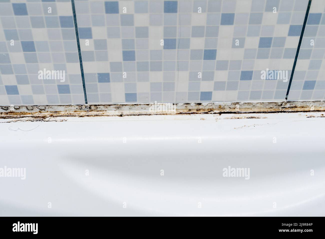 Mould on tiles in a bathroom Stock Photo Alamy