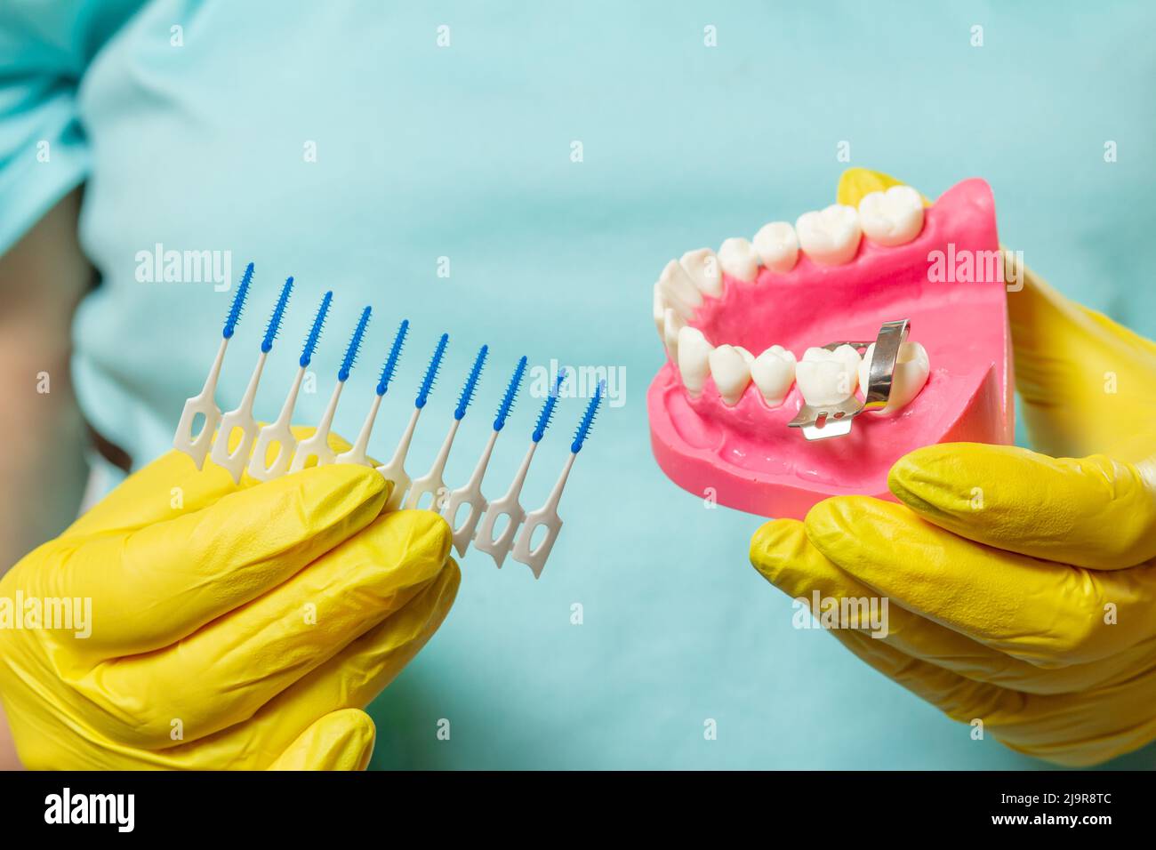 Dentist with interdental toothpick brushes and layout of the human jaw