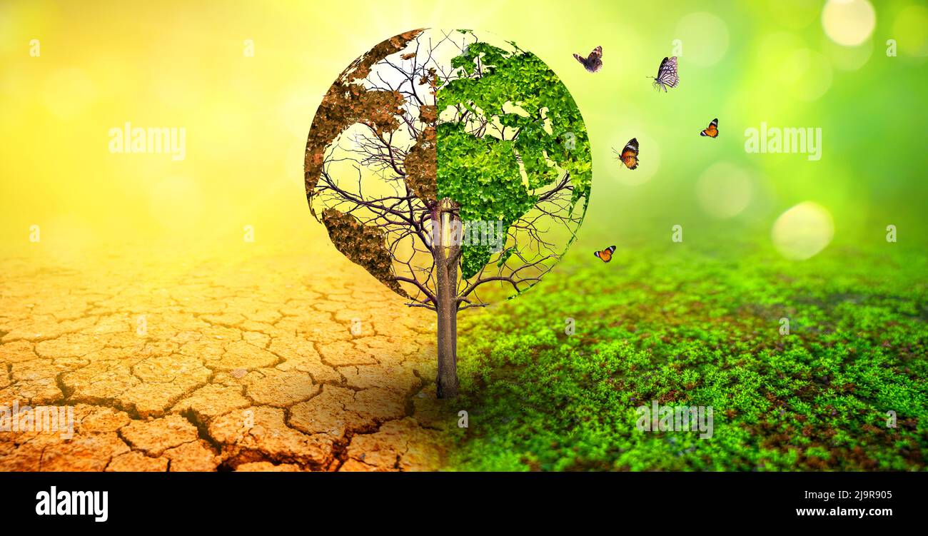 tree in two  with very different environments Earth Day or World Environment Day Global Warming and Pollution Stock Photo