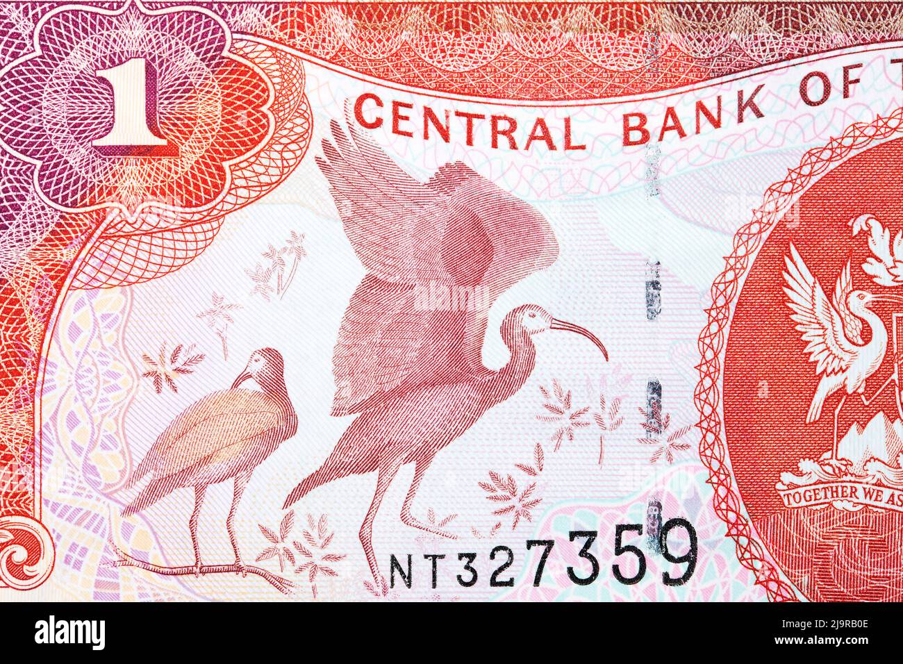 Scarlet ibis from money of Trinidad and Tobago - 1 Dollar Stock Photo