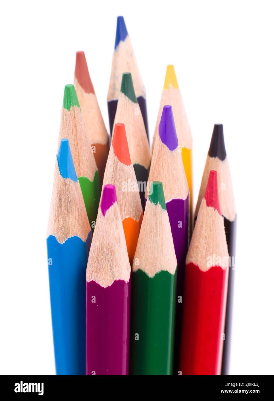 Many different colored pencils on white background. Stock Photo