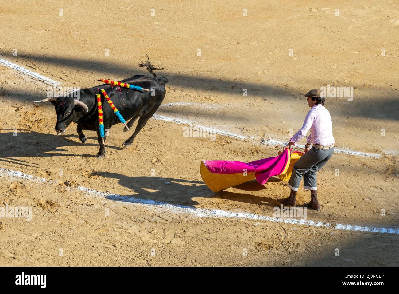 Valencia, Spain - 05 06 2022: A bullfighter playing with the bull in ...