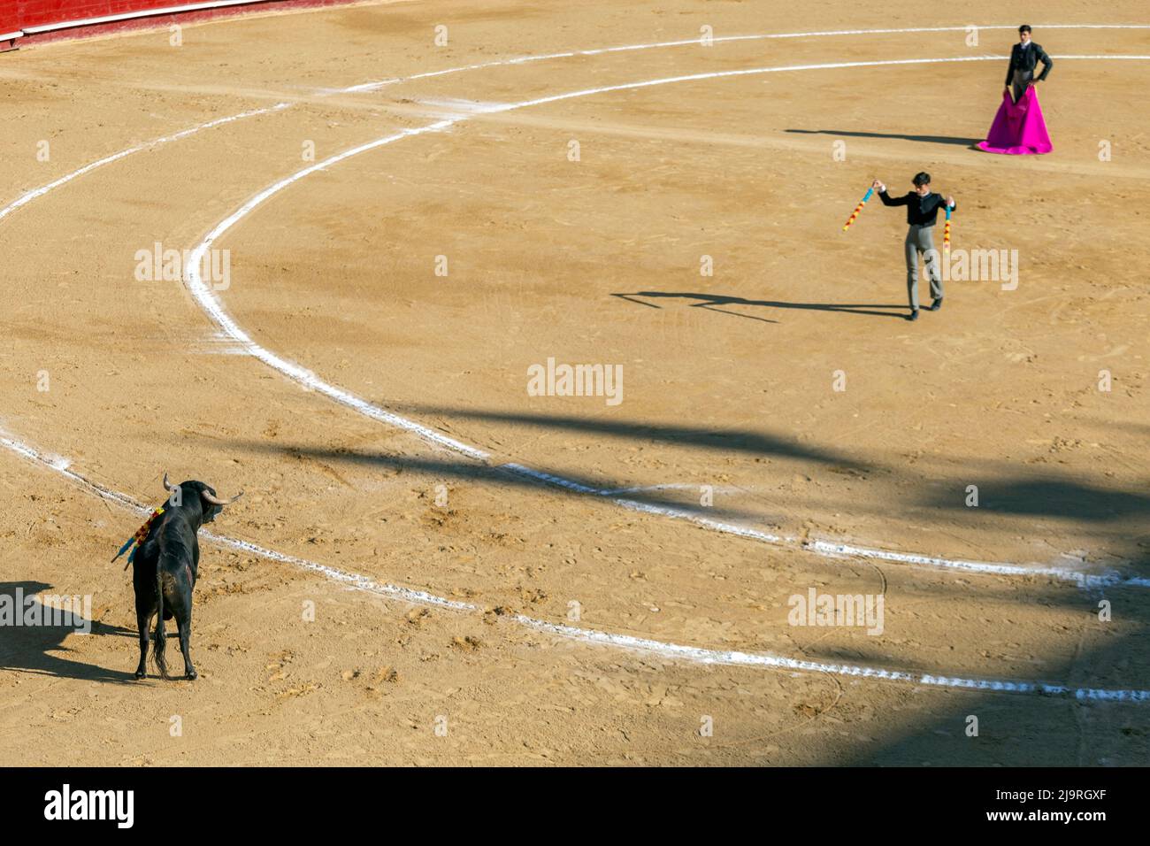 Valencia, Spain - 05 06 2022: A bullfighter playing with the bull in ...