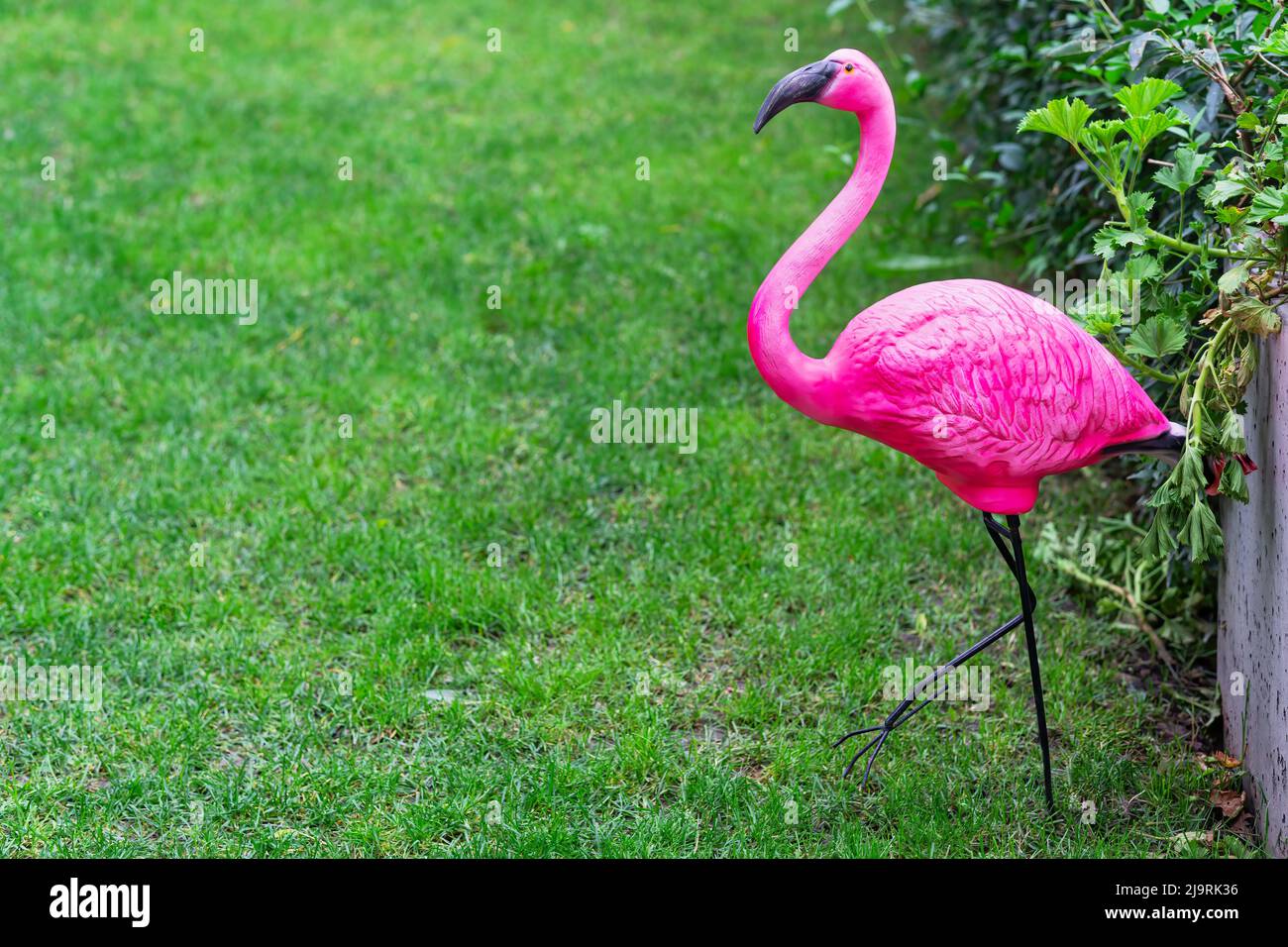 Pink bird statue hi-res stock photography and images - Alamy