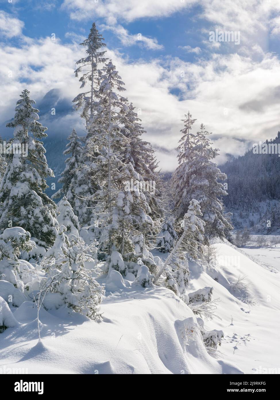 Valley of river Rissbach after heavy snowfall near village Vorderriss during winter. Germany, Bavaria Stock Photo