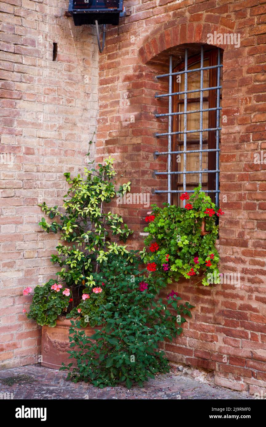 Italy, Tuscany. Plants inside the Abbazia di Monte Oliveto Maggiore, one of the rural monasteries in Tuscany. Stock Photo