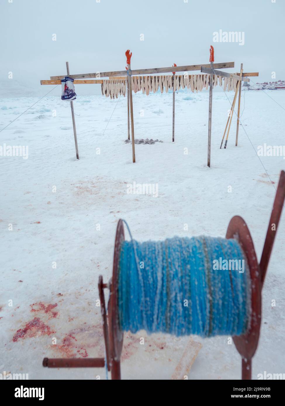 Fishing camp on the sea ice of a fjord. Fishery during winter near Uummannaq in northern West Greenland beyond the Arctic Circle. Greenland, Danish te Stock Photo