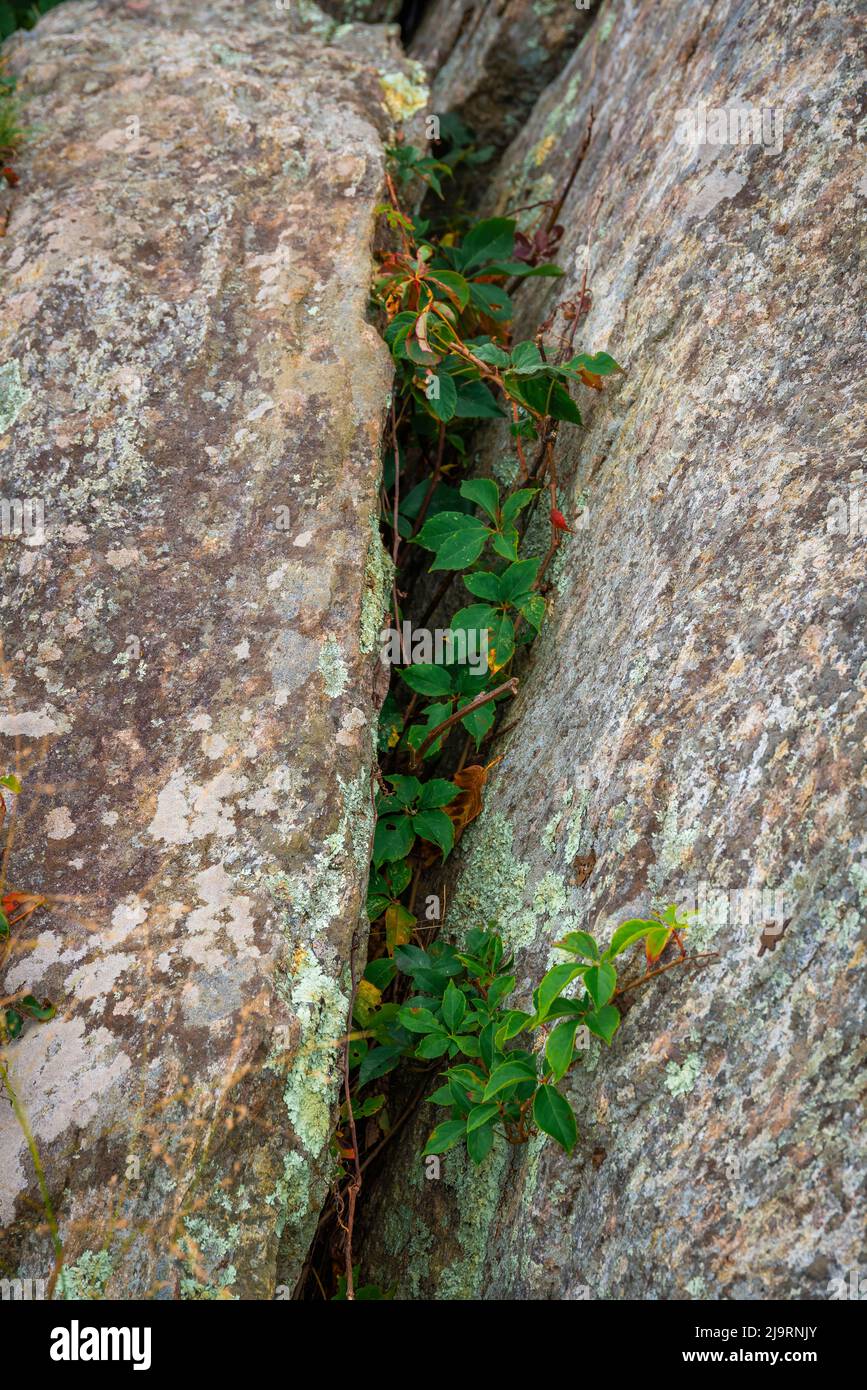 Miller rocks hi-res stock photography and images - Alamy