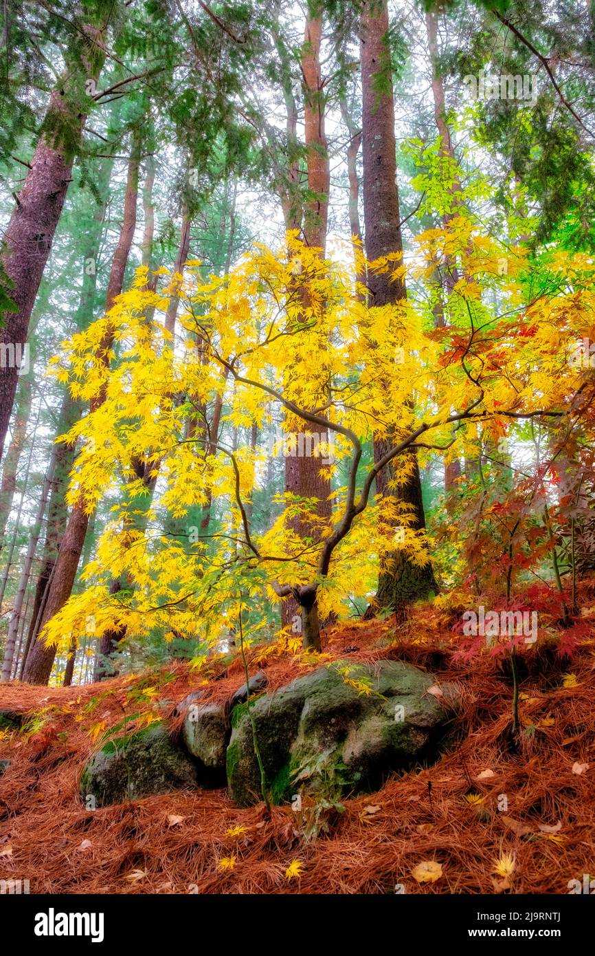 Dreamy new england fall hi-res stock photography and images - Alamy