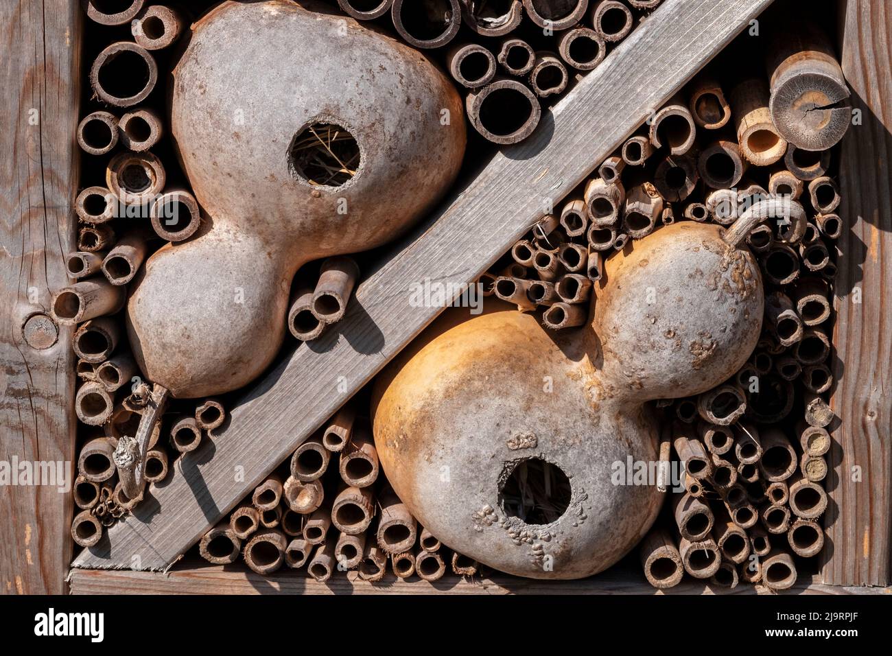 Manmade bee hotel Stock Photo