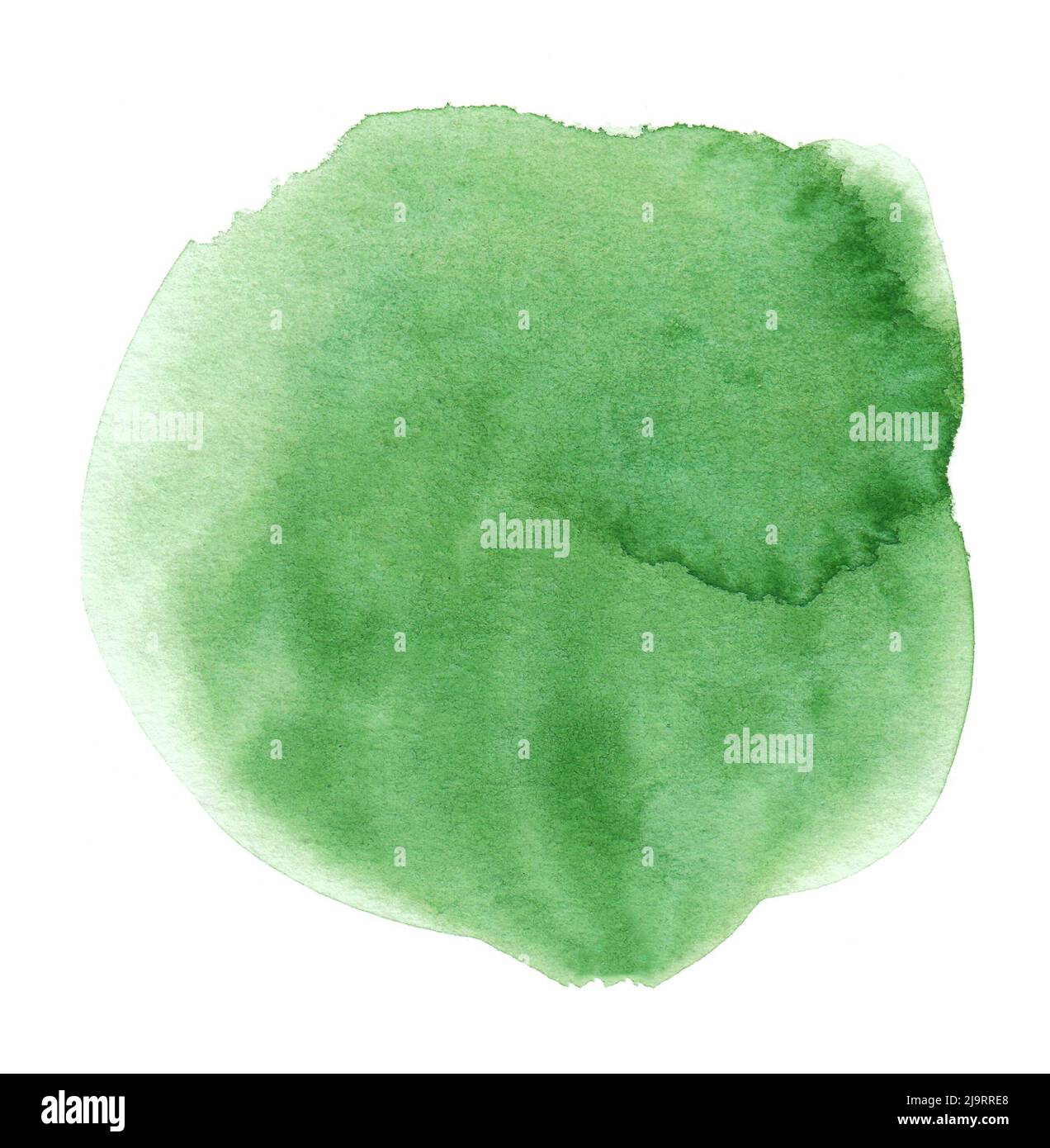 Abstract crocodile green watercolor splash texture isolated on white ...