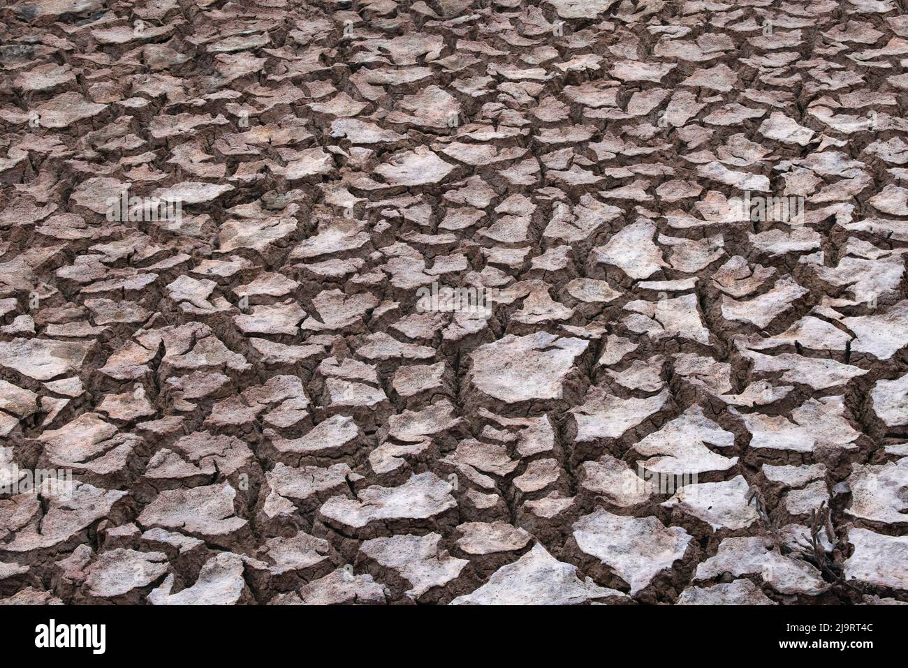 Dried and cracked mud pattern along shoreline of Flamingo Lagoon