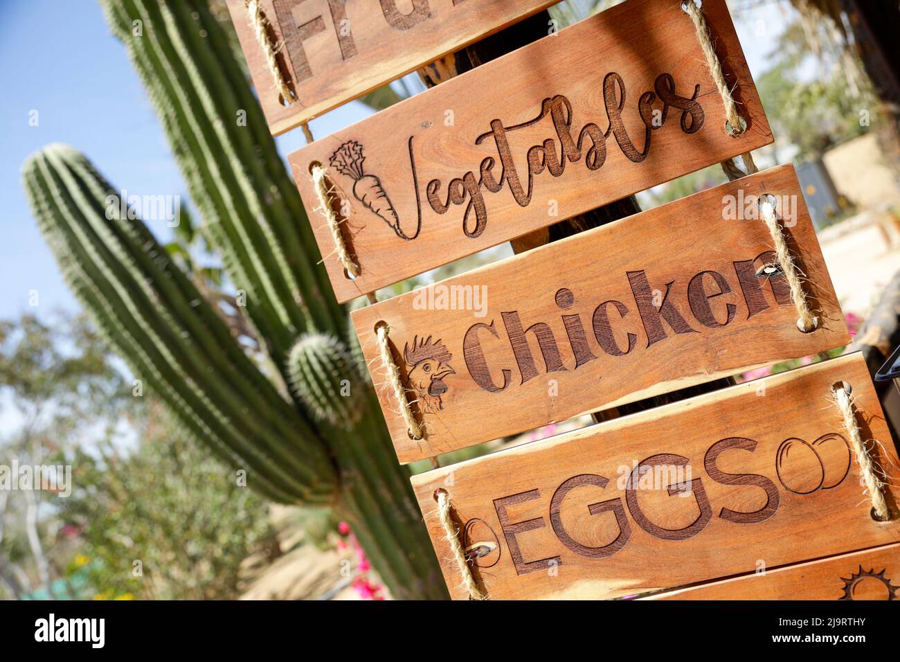 Sign for farm produce. Cabo San Lucas, Mexico Stock Photo Alamy