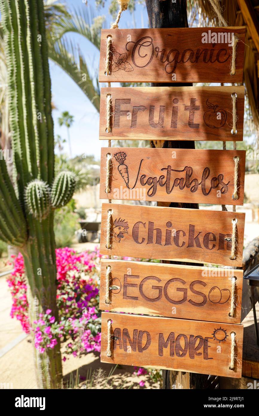 Sign for farm produce. Cabo San Lucas, Mexico Stock Photo Alamy